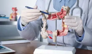 Google Image. Usus Besar pada Proses Pencernaan.