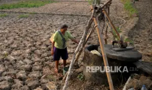 Ilustrasi warga mengecek sumur air yang kering