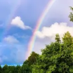 Google Image. Pelangi Kehidupan