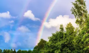 Google Image. Pelangi Kehidupan Google Image. Pelangi Kehidupan
