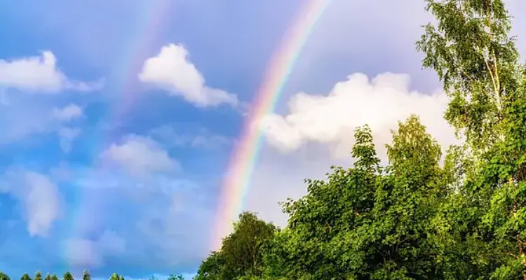 Google Image. Pelangi Kehidupan
